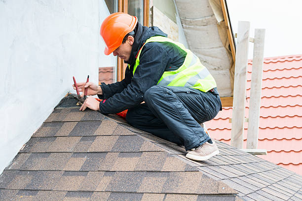 Best Roof Gutter Cleaning  in Park City, TN