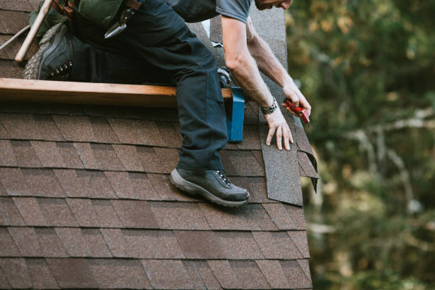 Best Roof Restoration Services  in Park City, TN